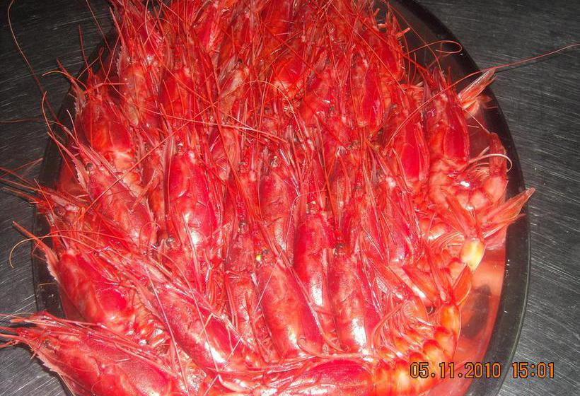 בית מלון כפרי Mucci