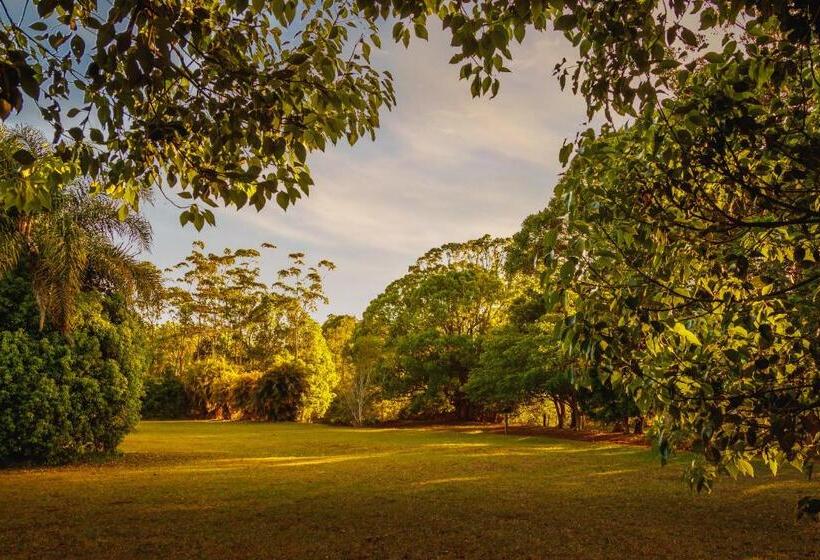 מוטל Malanda Lodge