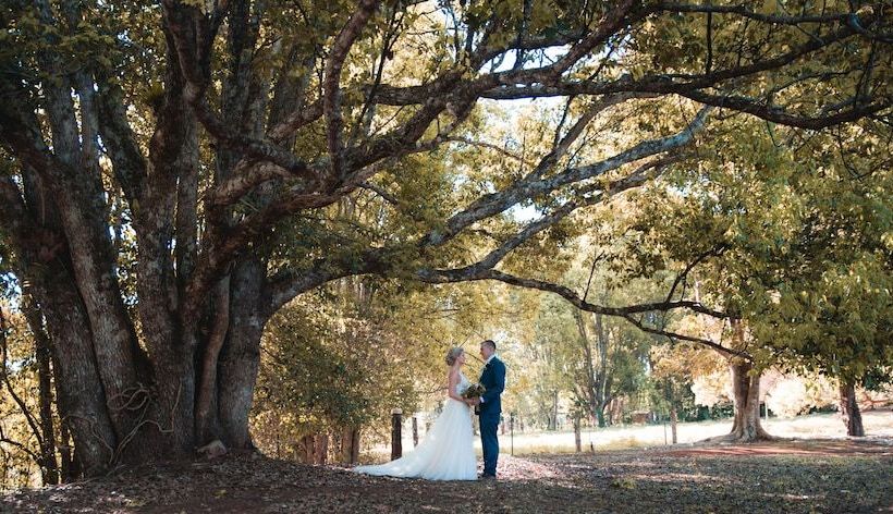 מוטל Malanda Lodge