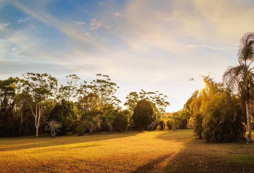מוטל Malanda Lodge