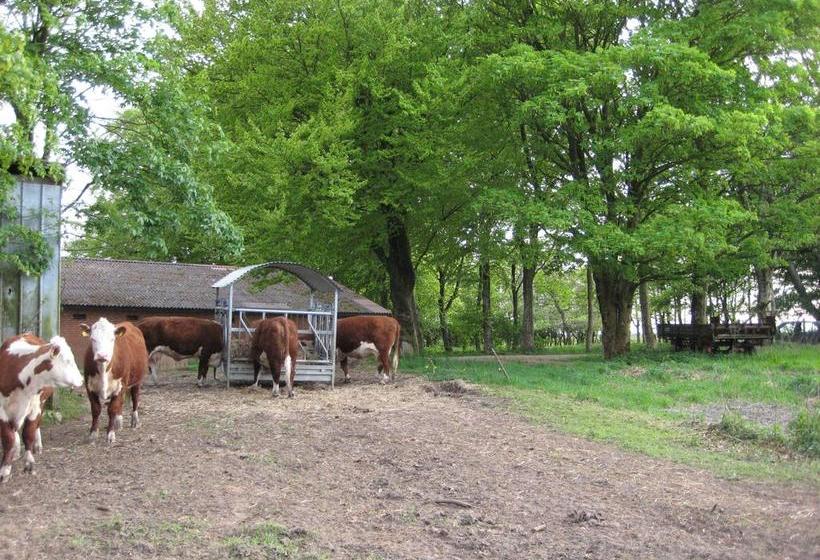 Gunneruphus Bed & Breakfast