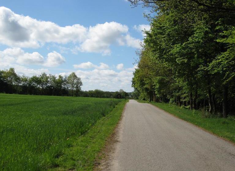 Gunneruphus Bed & Breakfast