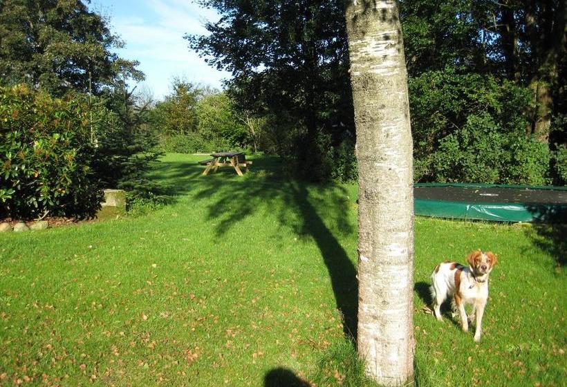 Gunneruphus Bed & Breakfast