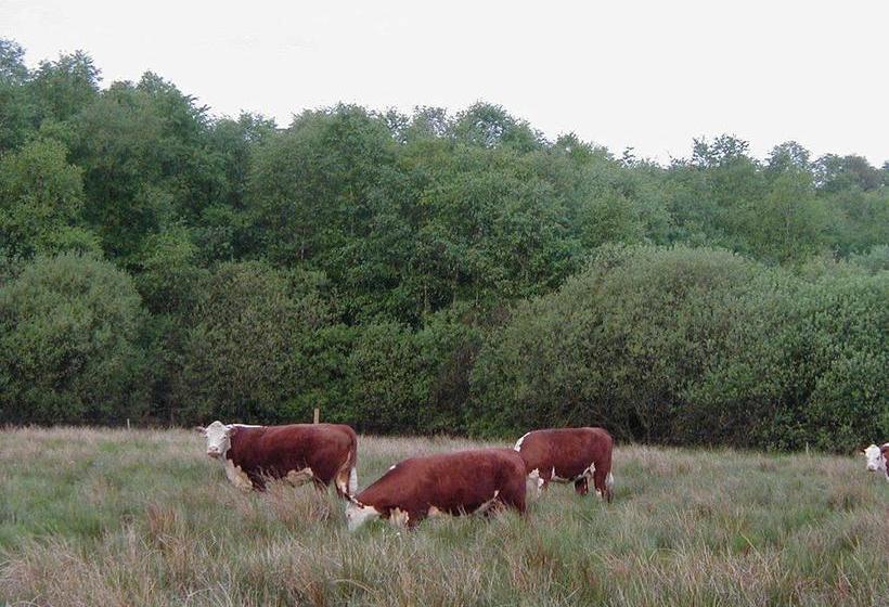 Gunneruphus Bed & Breakfast