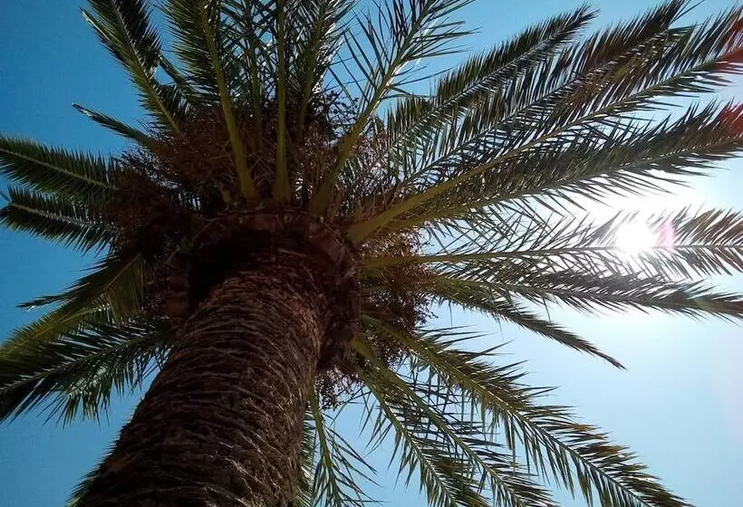 Hotelli Le Majestic Canet Plage