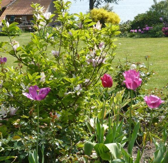 בית מלון כפרי Villa Fjordhøj