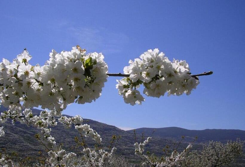 דירת נופש Complejo Turístico Las Cañadas Casas De Campo Actividades Gratuitas Todos Los Fines De Semana