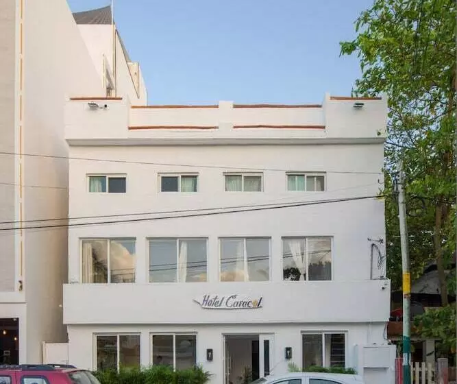 Hotelli Caracol Puerto Morelos