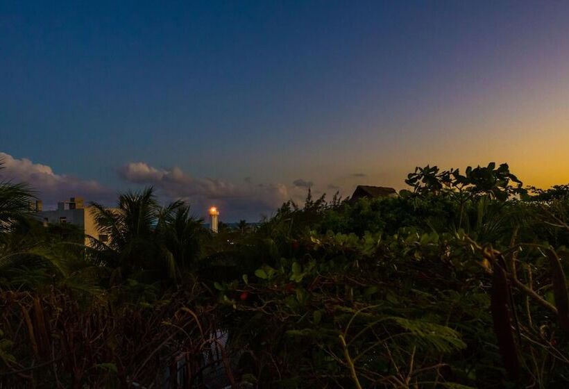 فندق Caracol Puerto Morelos