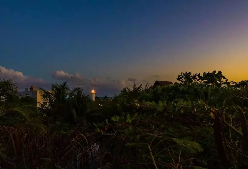 Hotelli Caracol Puerto Morelos