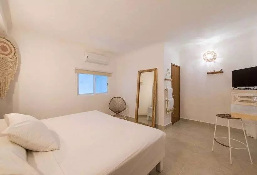 Hotelli Caracol Puerto Morelos