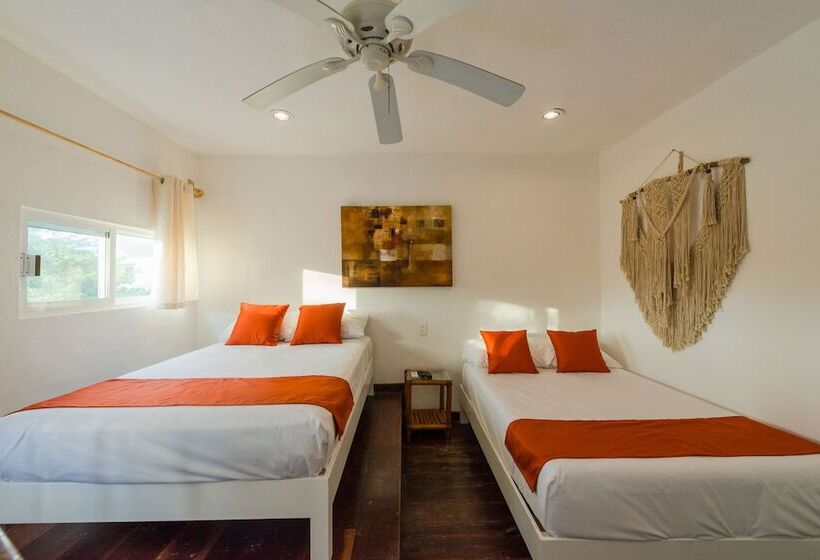 فندق Caracol Puerto Morelos