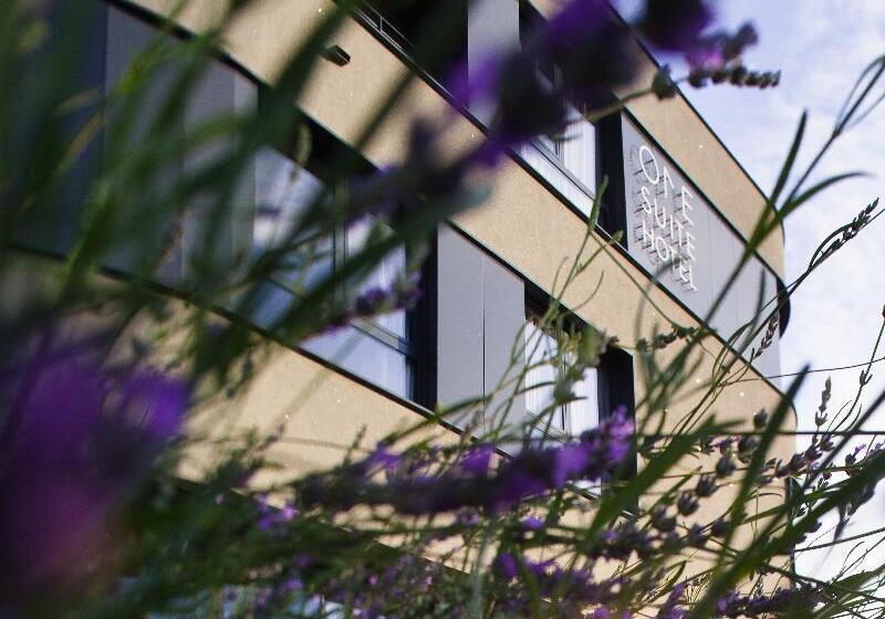 בית מלון כפרי One Suite