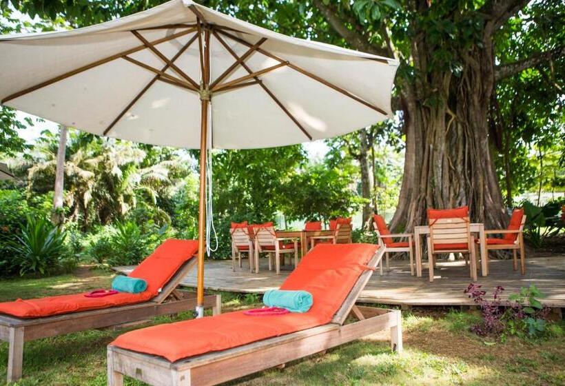 Belo Monte Hotel And Museum