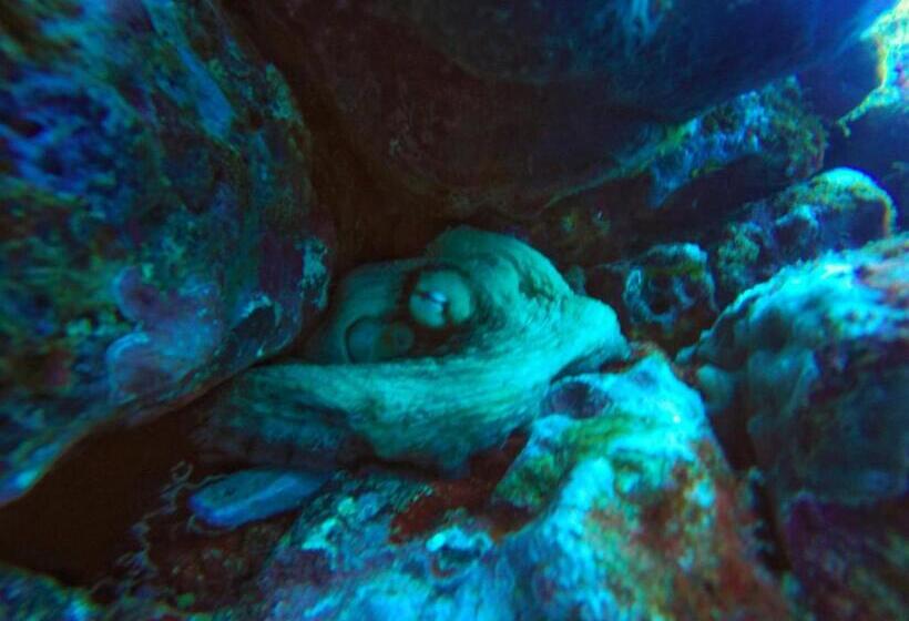 Belo Monte Hotel And Museum