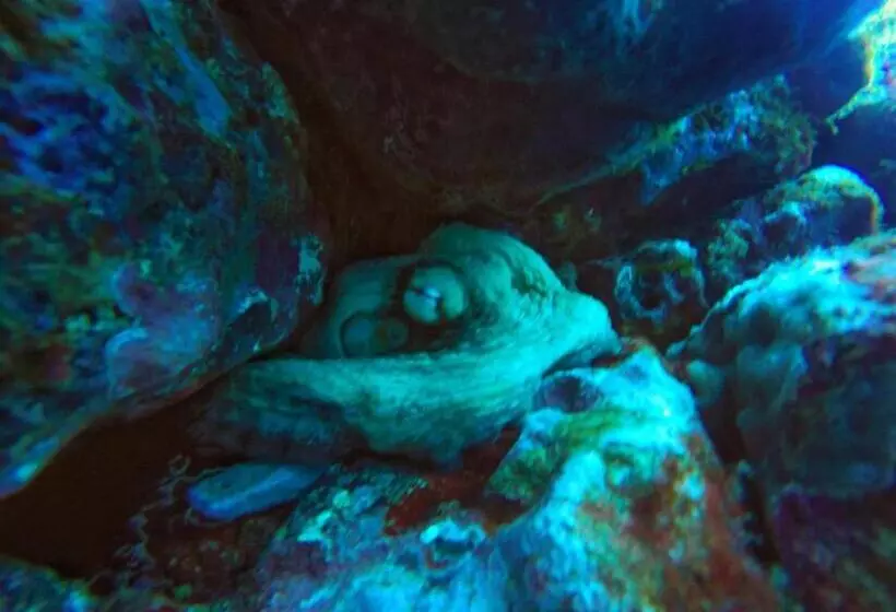 Belo Monte Hotel And Museum