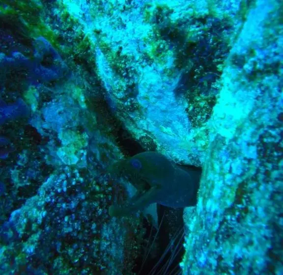 Belo Monte Hotel And Museum