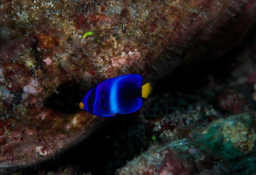 Belo Monte Hotel And Museum