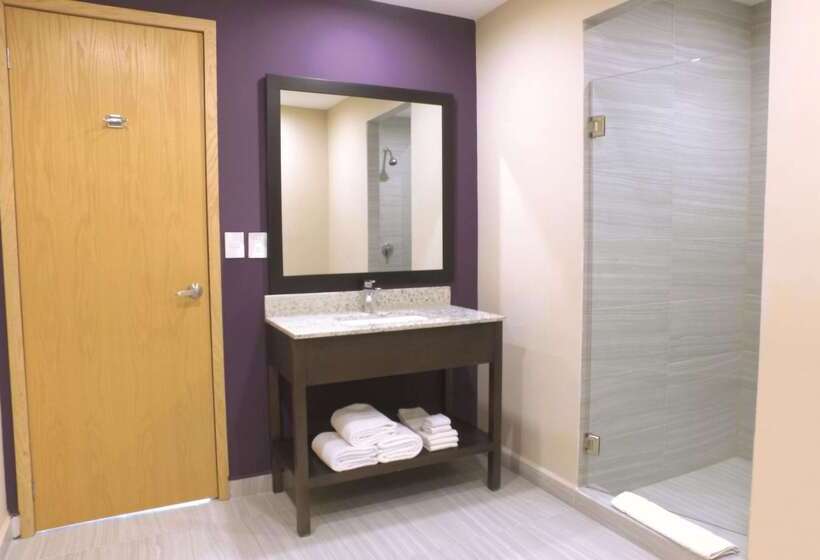 Chn Hotel Monterrey Aeropuerto, Trademark By Wyndham