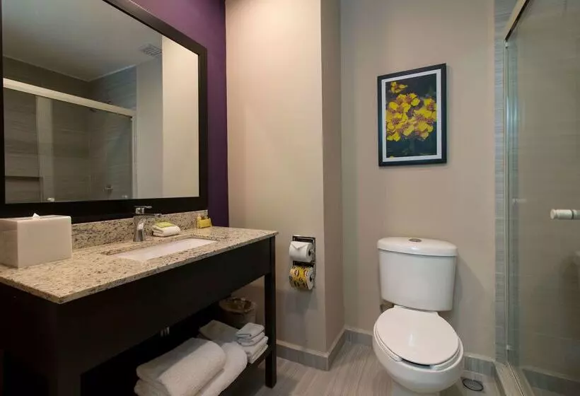 Chn Hotel Monterrey Aeropuerto, Trademark By Wyndham