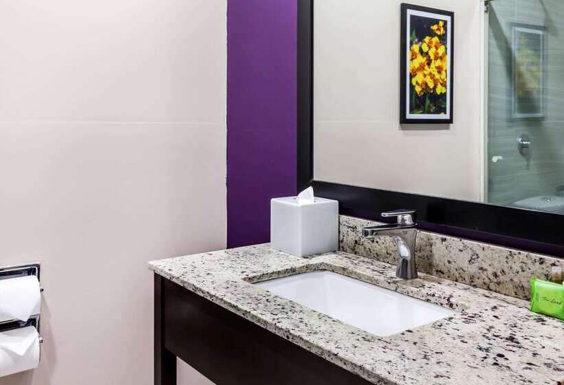 Chn Hotel Monterrey Aeropuerto, Trademark By Wyndham