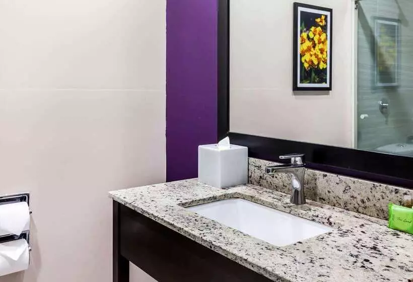 Chn Hotel Monterrey Aeropuerto, Trademark By Wyndham