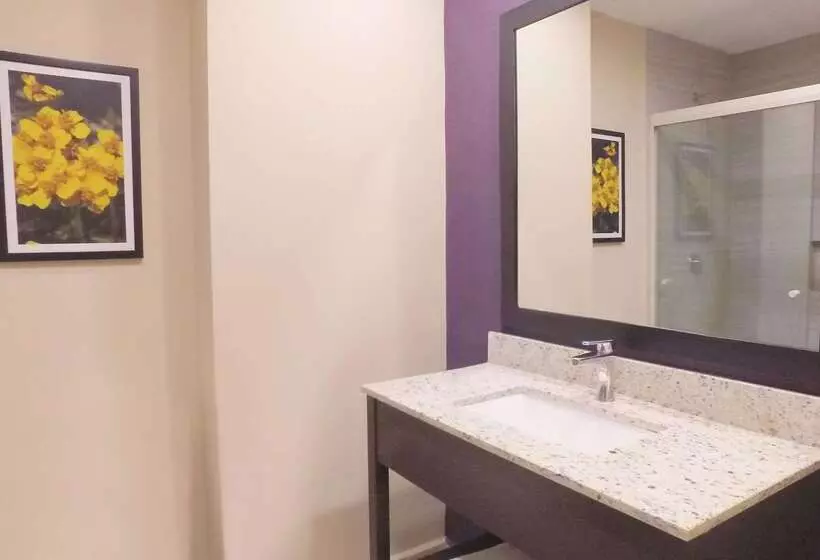 Chn Hotel Monterrey Aeropuerto, Trademark By Wyndham