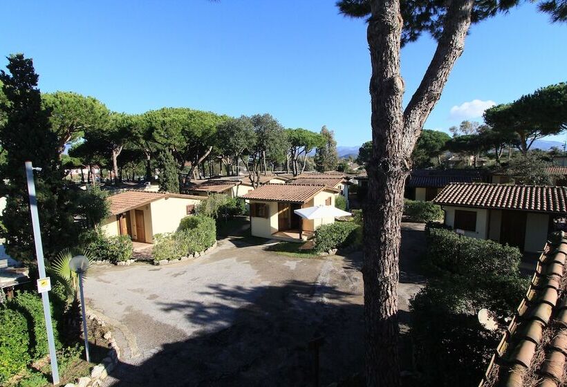 酒店 Holiday Village