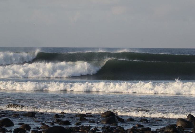 酒店 The Point Surfcamp Bali