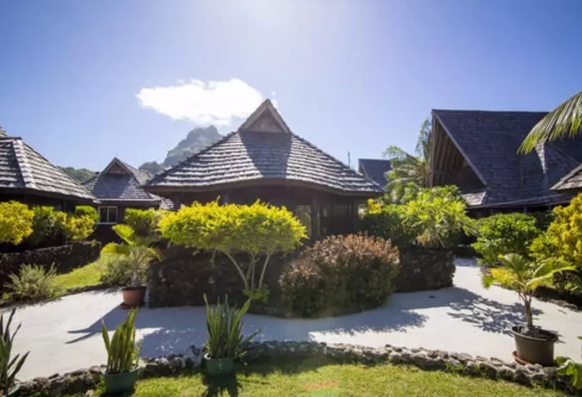 هتل Oa Oa Lodge