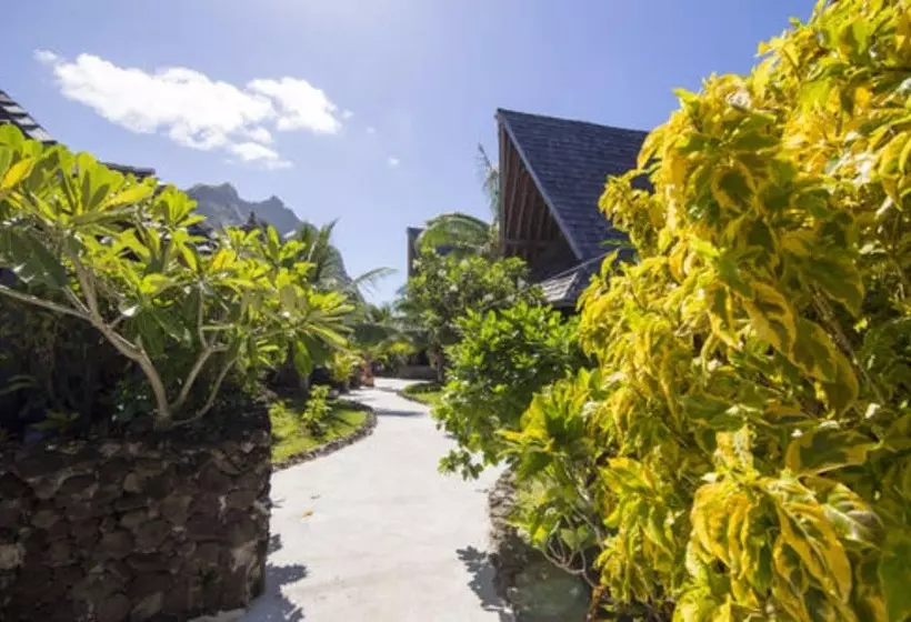 هتل Oa Oa Lodge