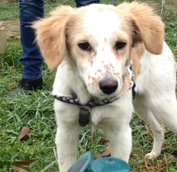 膳宿费 Pansion Vila Vanda Vukovar