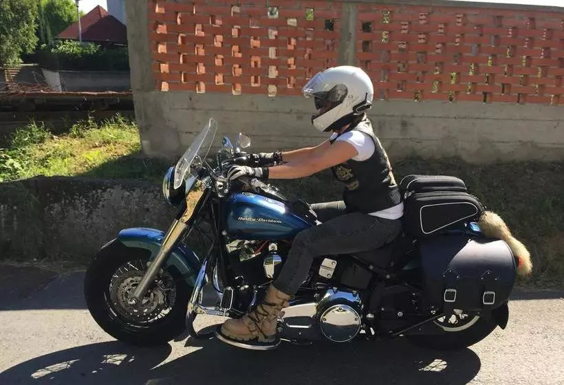 Majatalo Pansion Vila Vanda Vukovar