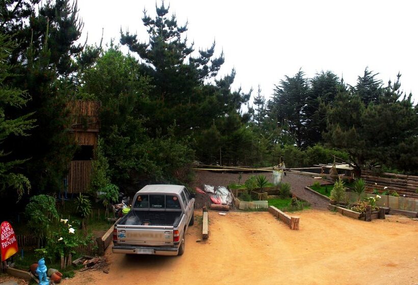 Sirena Insolente Hostel & Suites