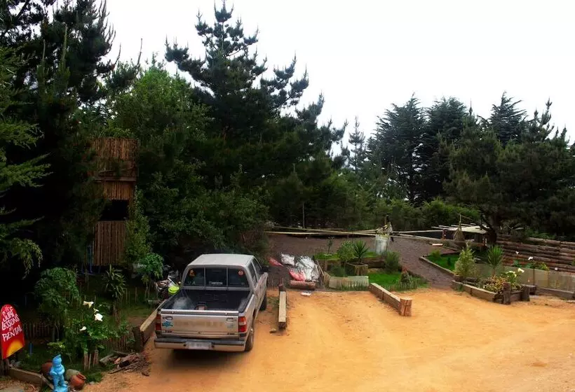 Sirena Insolente Hostel & Suites