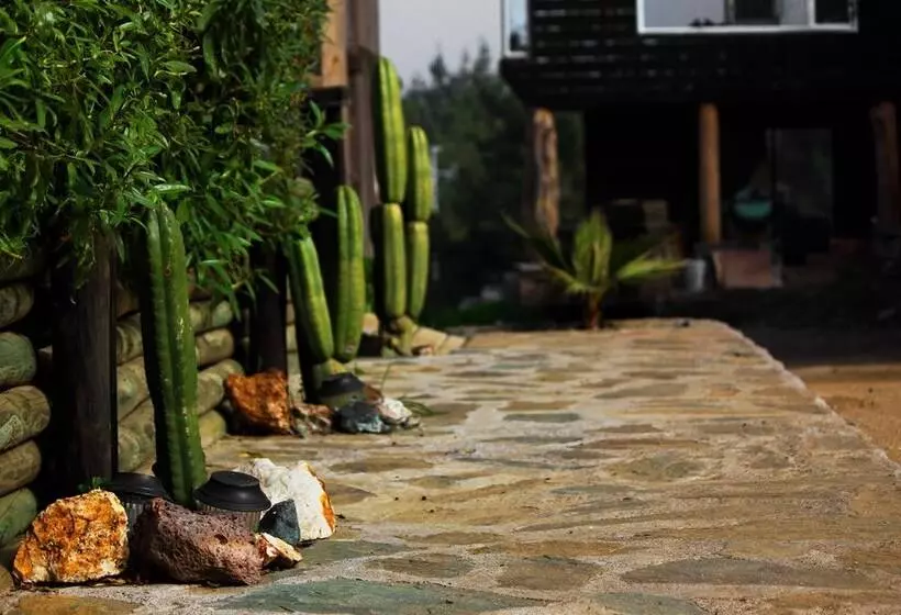 Sirena Insolente Hostel & Suites