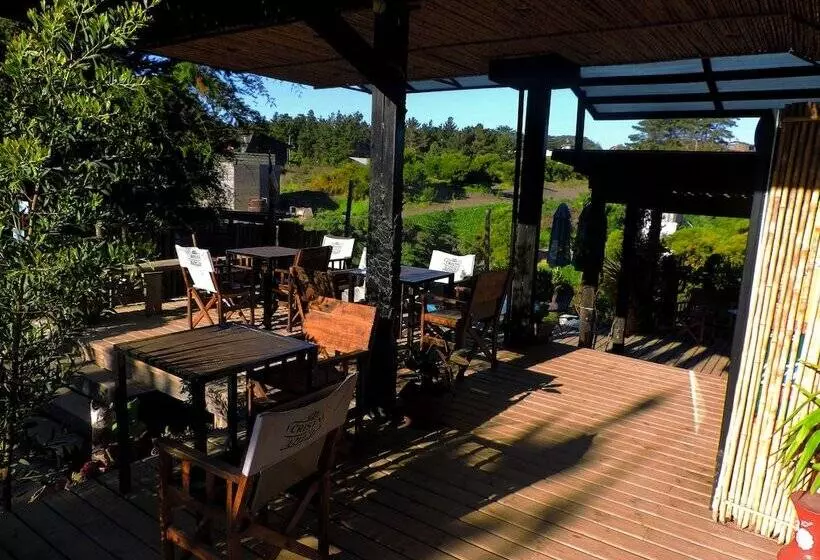 Sirena Insolente Hostel & Suites