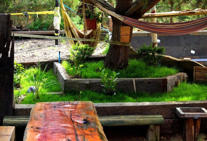 Sirena Insolente Hostel & Suites