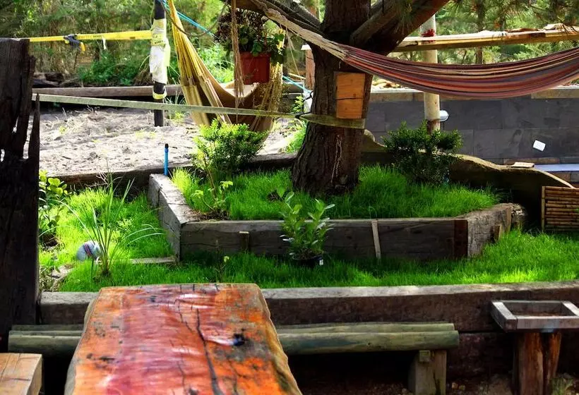 Sirena Insolente Hostel & Suites