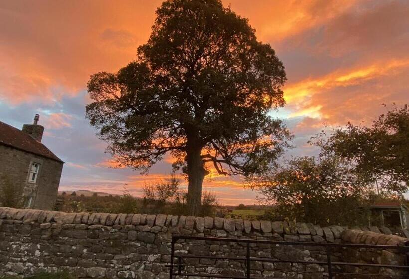 Wydon Farm Bed And Breakfast