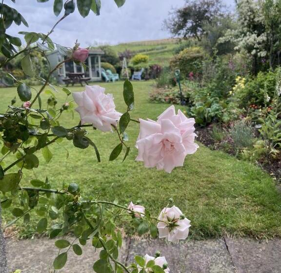 Wydon Farm Bed And Breakfast