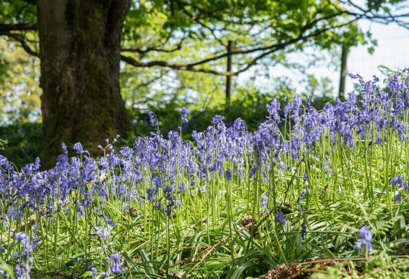 Wydon Farm Bed And Breakfast