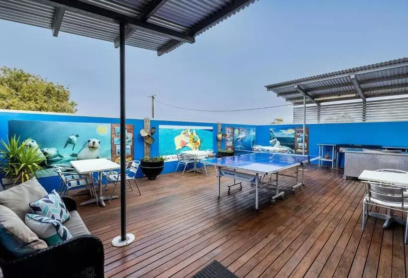 ユースホステル Port Lincoln Studio Apartments
