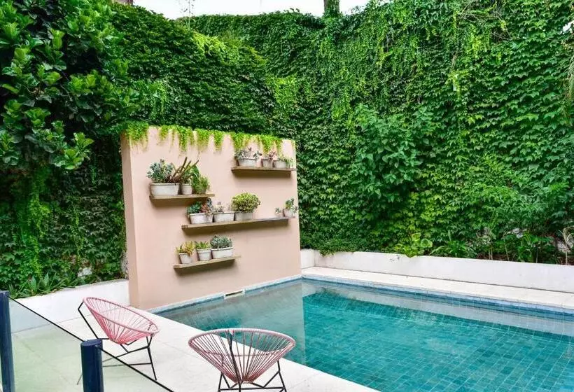 مسافرخانه Casa Caravan   Plant Based Concept House