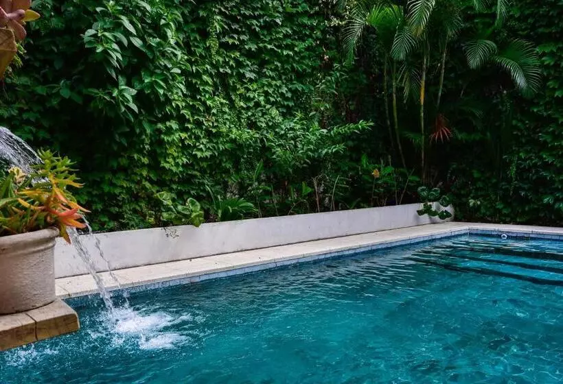 مسافرخانه Casa Caravan   Plant Based Concept House