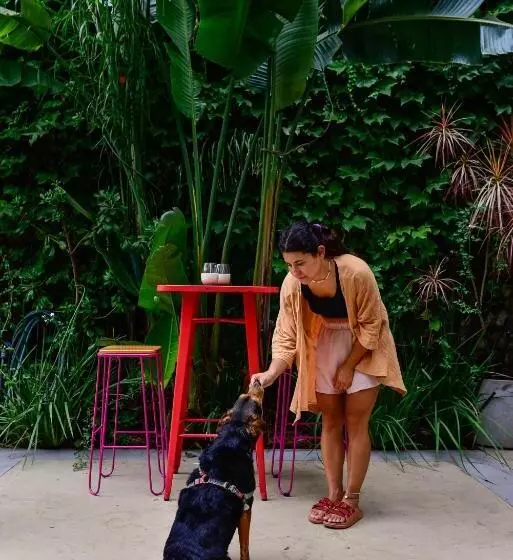 مسافرخانه Casa Caravan   Plant Based Concept House