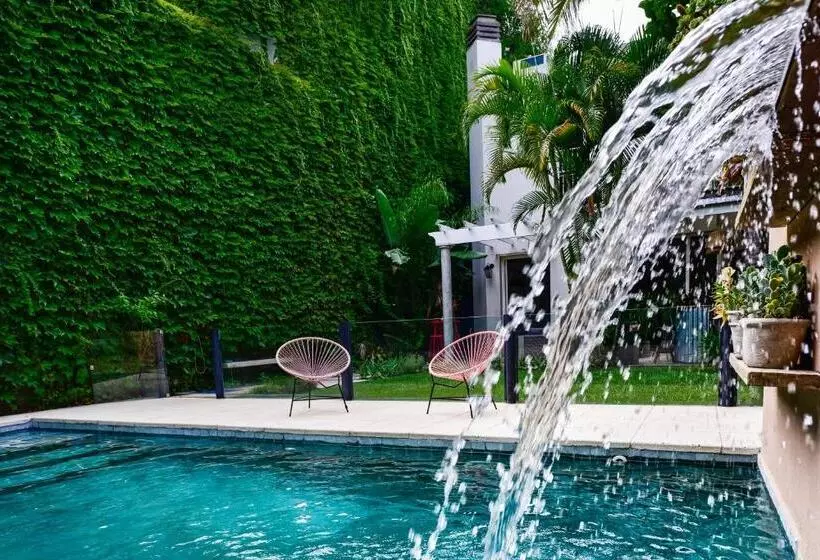 مسافرخانه Casa Caravan   Plant Based Concept House