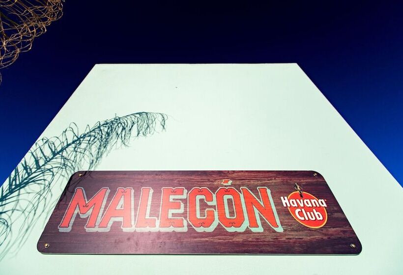 酒店 Cubanito Ibiza