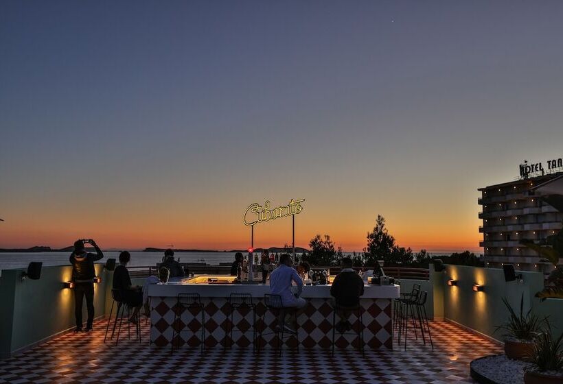 酒店 Cubanito Ibiza