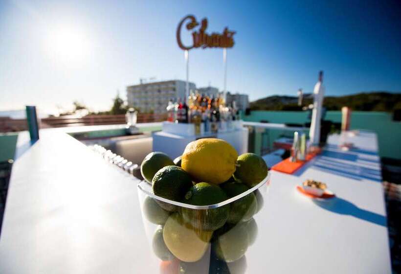酒店 Cubanito Ibiza